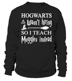 Hogwarts Wasn't Hiring So I Teach Muggles Instead T Shirt